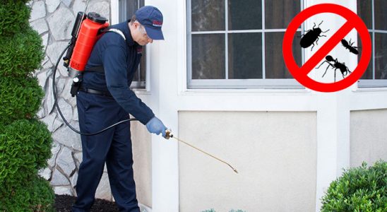 Derince Kemirgen İlaçlama böcek ilaçlama ve haşere kontrolü — ilaclama-tr.com